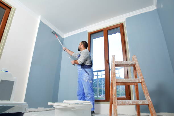 Best Forensic Mold Investigation  in Mount Vernon, IL