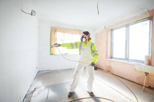 Best Dehumidification Services  in Mount Vernon, IL