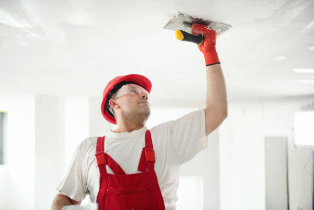 Best Airborne Mold Testing  in Mount Vernon, IL