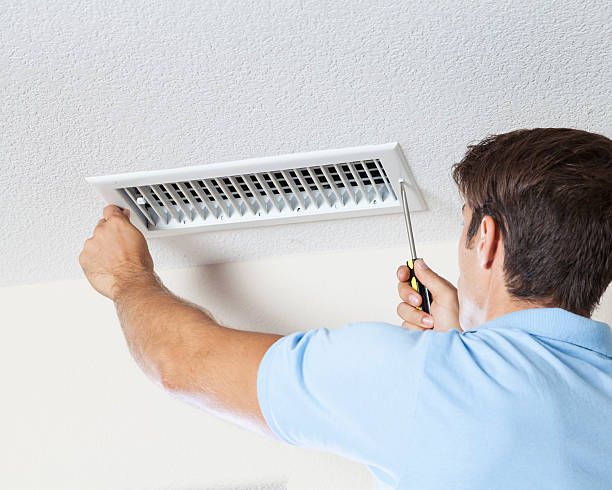 Best Black Mold Removal  in Mount Vernon, IL