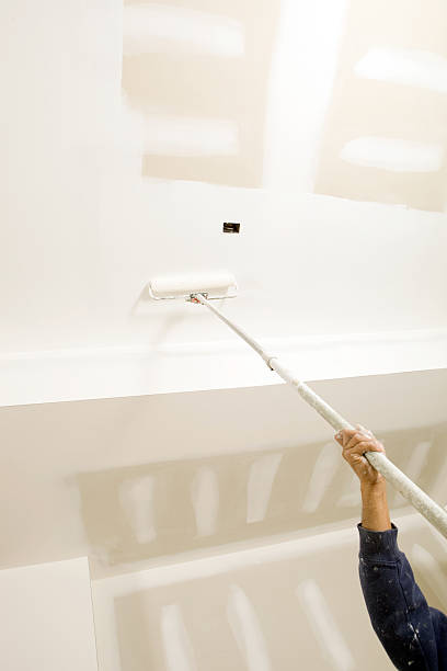 Best Emergency Mold Remediation  in Mount Vernon, IL