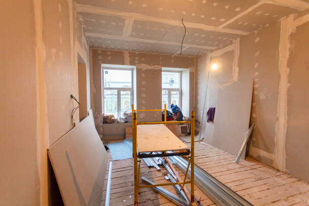 Best Environmental Consulting for Mold Prevention  in Mount Vernon, IL