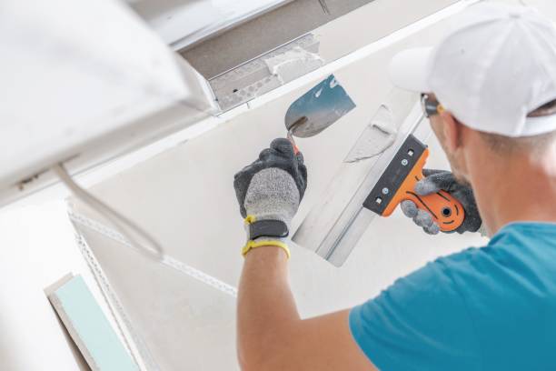 Best Water Damage & Mold Remediation  in Mount Vernon, IL